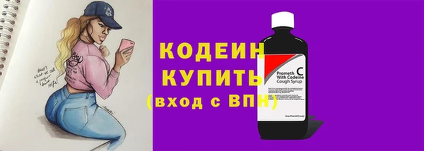 хмурый Липки
