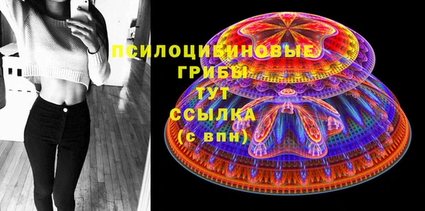 хмурый Липки