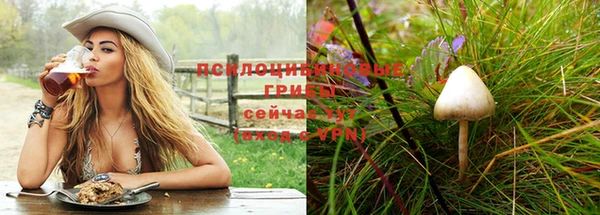 СК Лиски