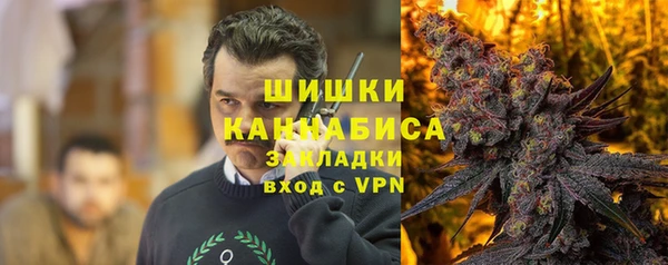 хмурый Липки